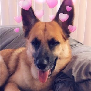 Meet your Posher, Halah